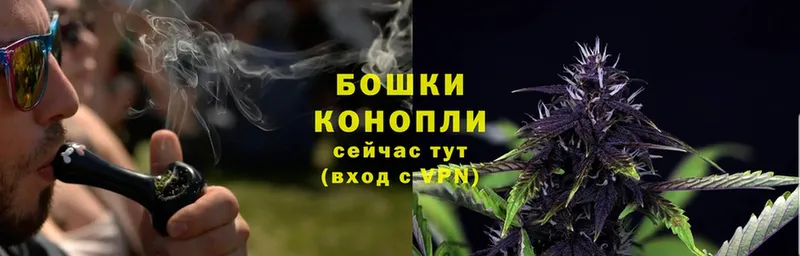 Бошки марихуана THC 21%  Кировград 